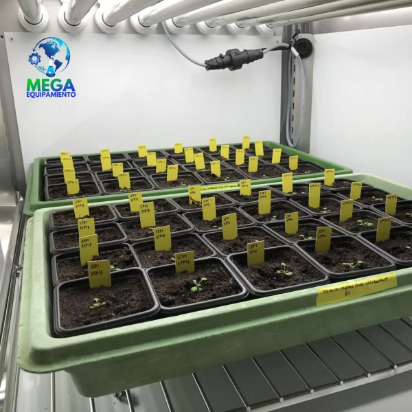 Camara Climatica para crecimiento de plantas FitoClima 600 PLH Aralab 600 litros control de temperatura humedad y 4 tubos LED blancos . . 3